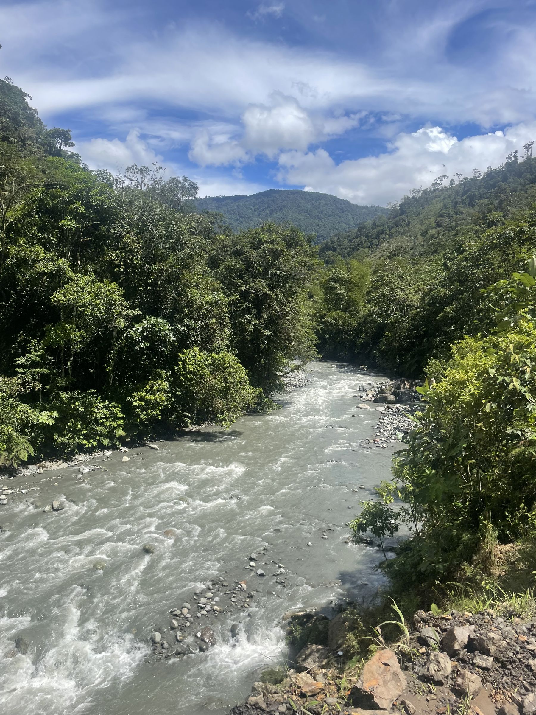 A river running through the Ecuadorian jungle in the Andean foothills