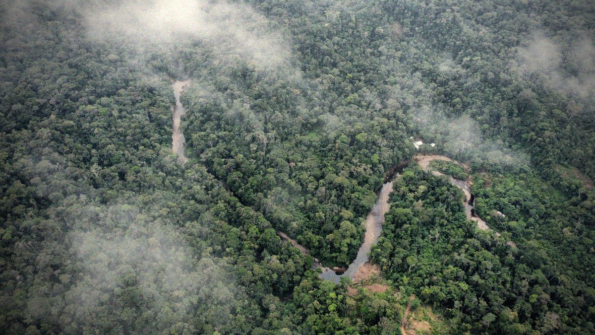 Aerial view of the Amazon rainforest