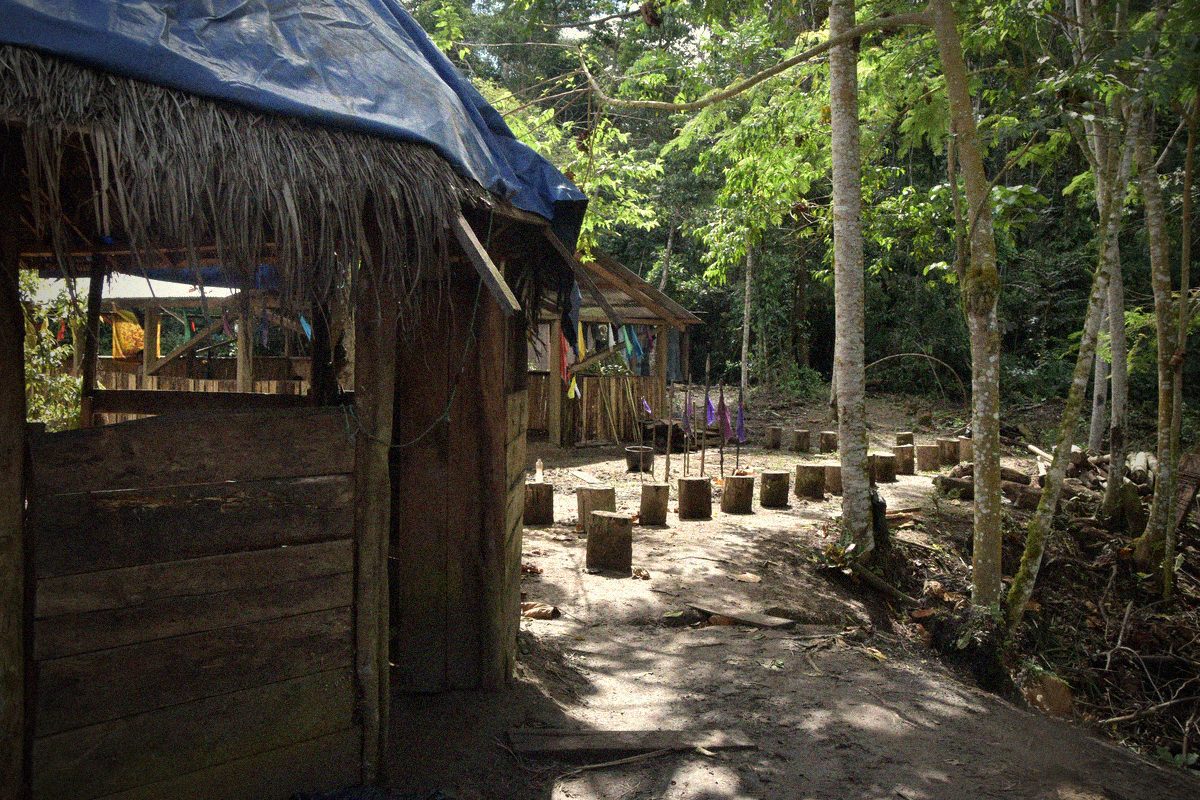 Jungle ceremony hut