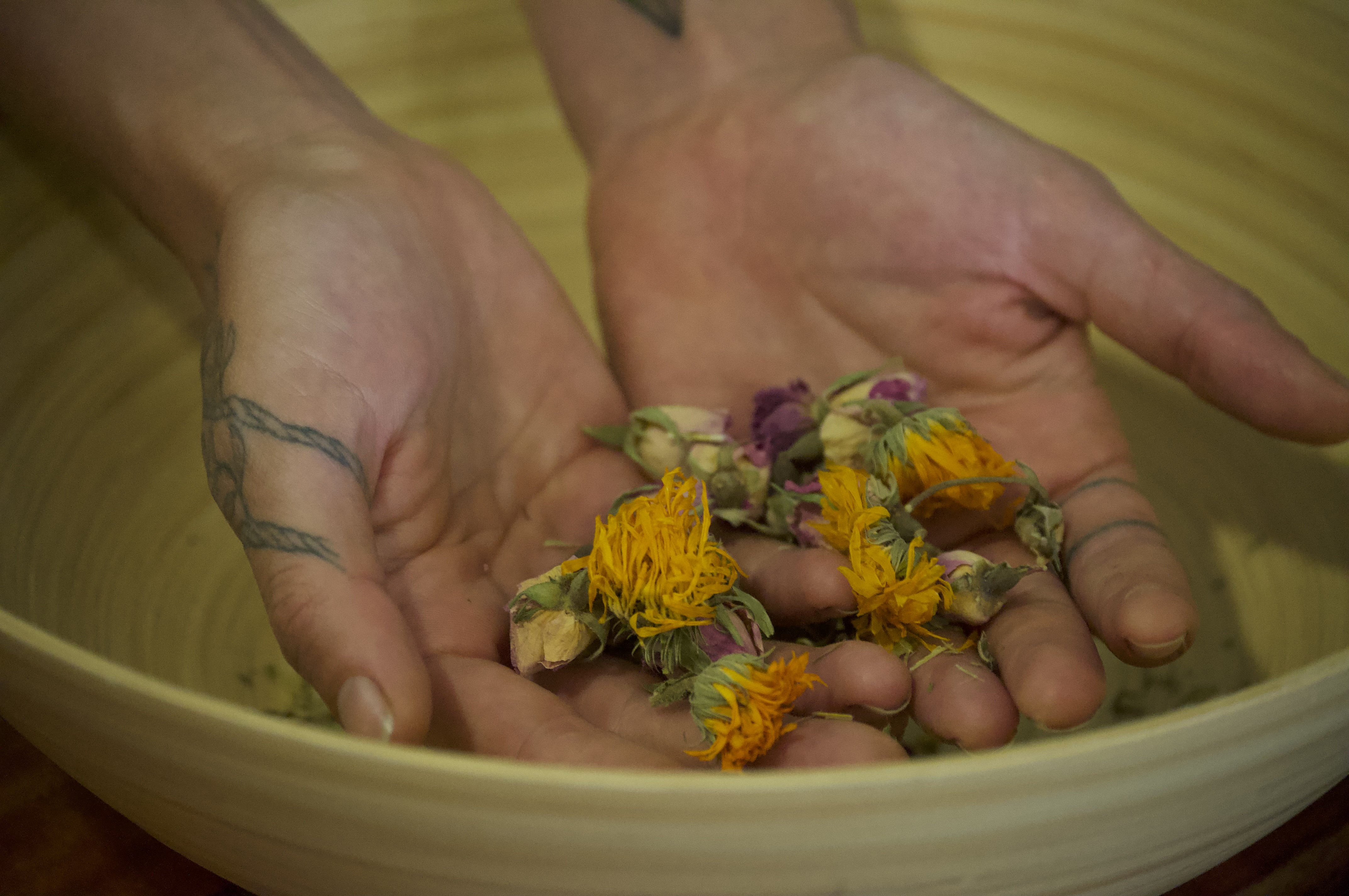 Hands holding sacred flowers and herbs over a ceremonial bowl